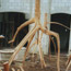 elementos decorativos